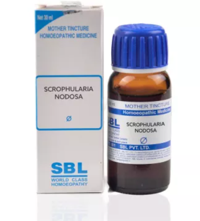 SBL Scrophularia Nodosa 1X (Q) (30ml).1