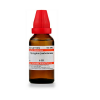 Dr Willmar Schwabe Homeopathic Syzygium Jambolanum Dilution 30ml 6