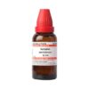 Dr Willmar Schwabe India Homeopathic Syzygium Jambolanum.1