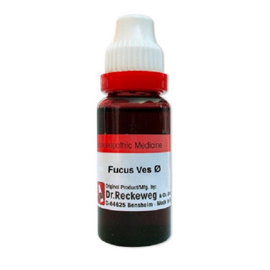 Dr. Reckeweg Fucus Vesiculosus Mother Tincture (Q) 20ML