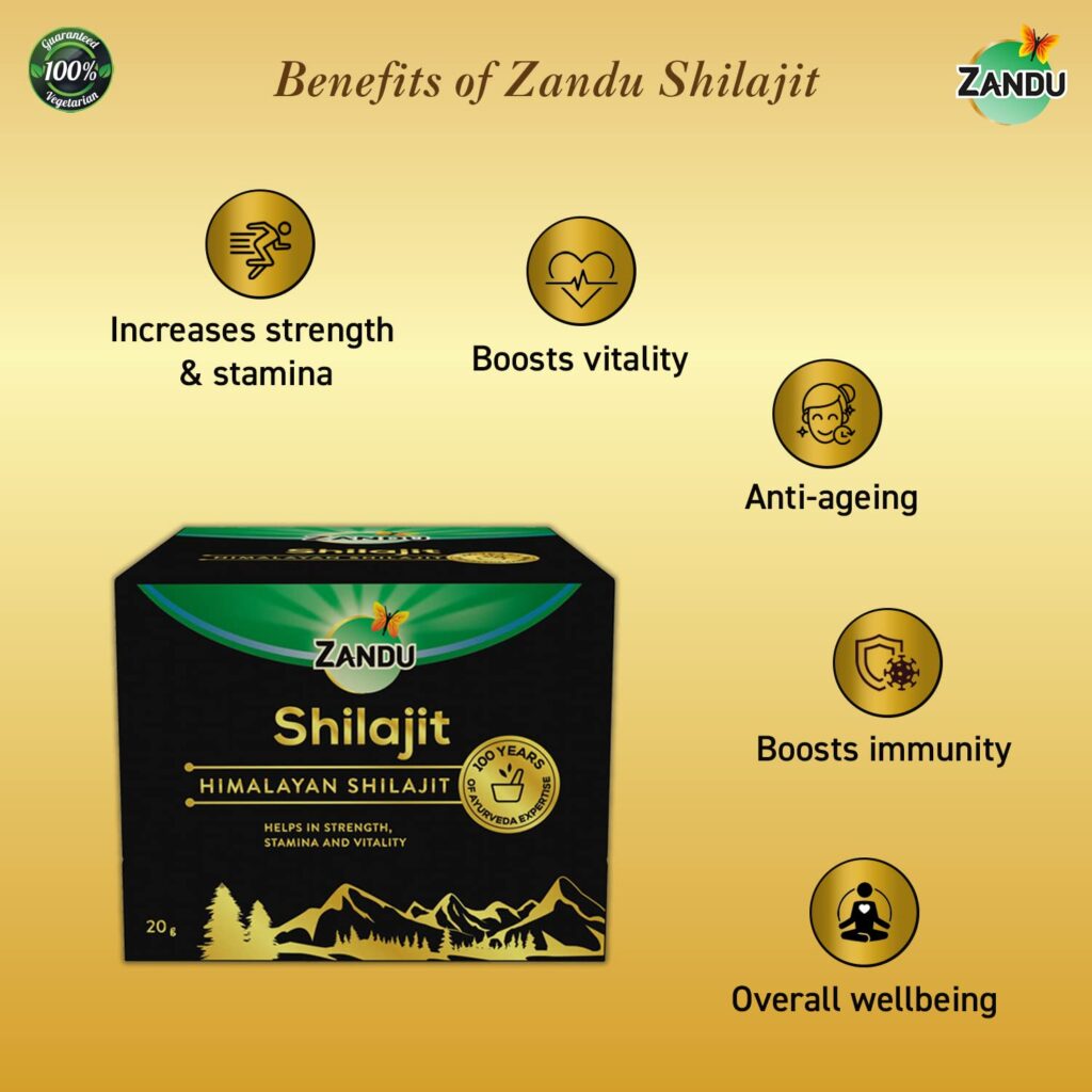 Zandu Pure Himalayan Shilajit Resin 20g 7